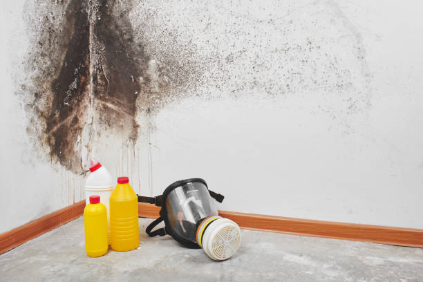 Crawl Space Mold Removal in Delta Junction, AK