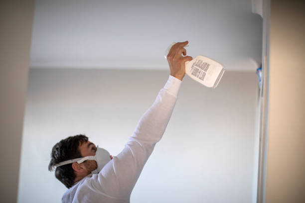 Mold Removal Process in Delta Junction, AK