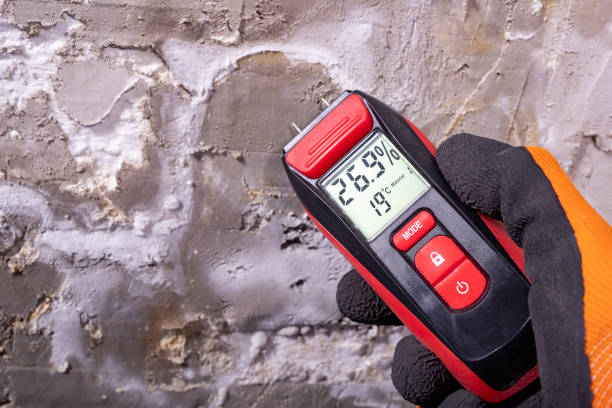 Best Crawl Space Mold Removal  in Delta Junction, AK
