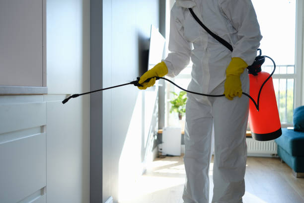 Best Office Mold Removal Services  in Delta Junction, AK